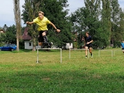 IMG_20200811_153127.jpg