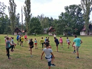 IMG_20200813_170138.jpg